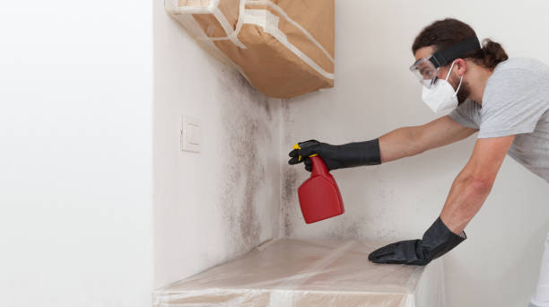 Professional Crawl Space Mold Removal technician working in New Oxford, PA