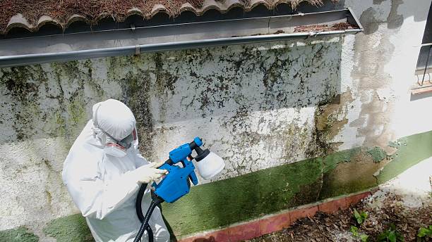 Trusted Commercial Mold Remediation service in New Oxford, PA - Cheap Mold Removal